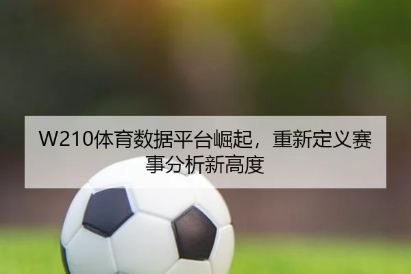 W210体育数据平台崛起,重新定义赛事分析新高度